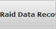 Raid Data Recovery Hi Hat raid array